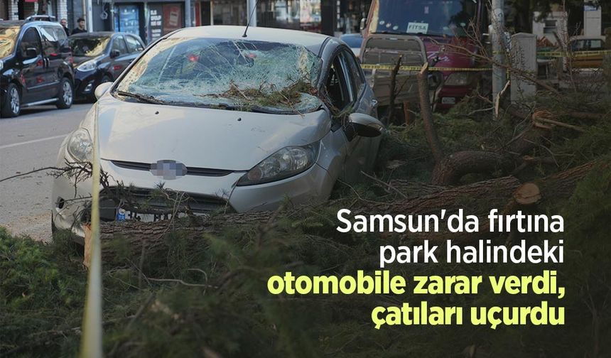 Samsun'da fırtına park halindeki otomobile zarar verdi, çatıları uçurdu