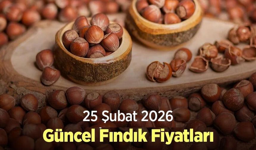25 Şubat 2026 Güncel Fındık Fiyatları