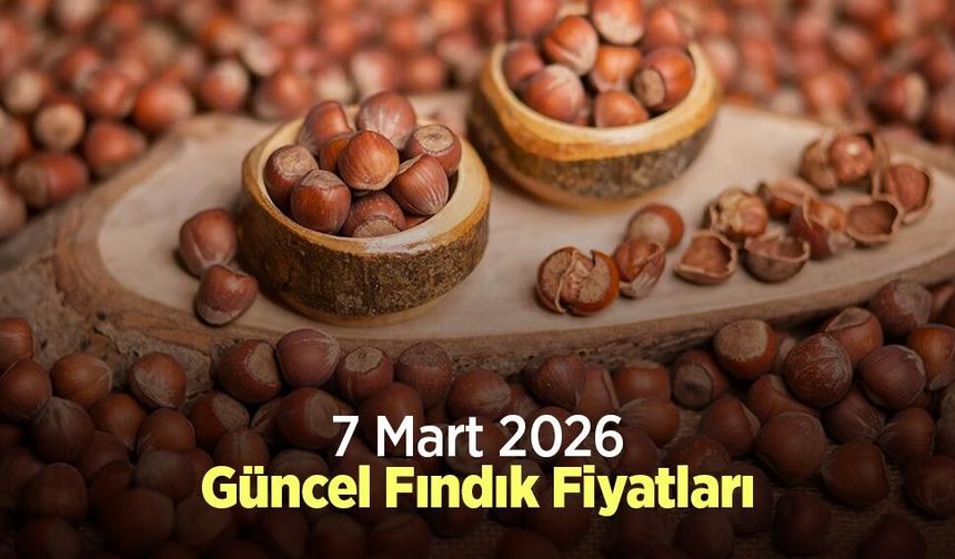 7 Mart 2026 Güncel Fındık Fiyatları