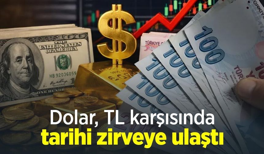 Dolar, TL karşısında tarihi zirveye ulaştı