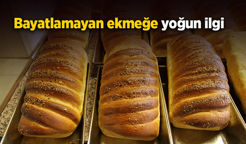 Bayatlamayan ekmeğe yoğun ilgi