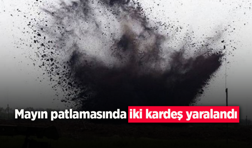Mayın patlamasında iki kardeş yaralandı