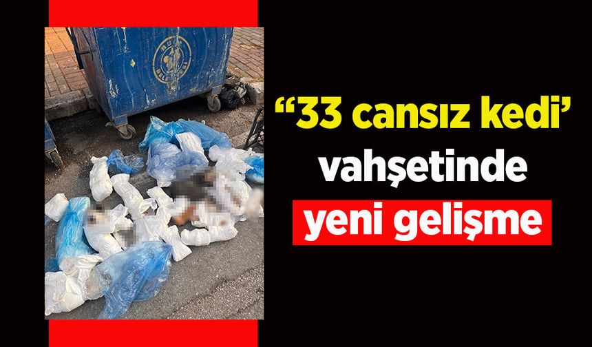 ’33 cansız kedi’ vahşetinde yeni gelişme