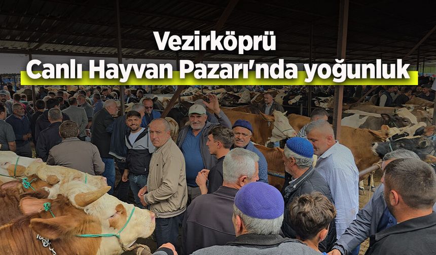 Vezirköprü Canlı Hayvan Pazarı'nda yoğunluk