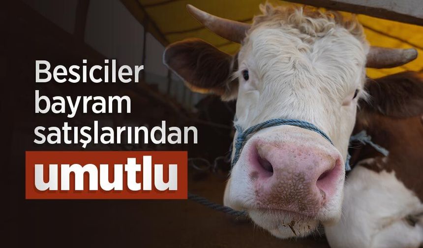 Besiciler bayram satışlarından umutlu