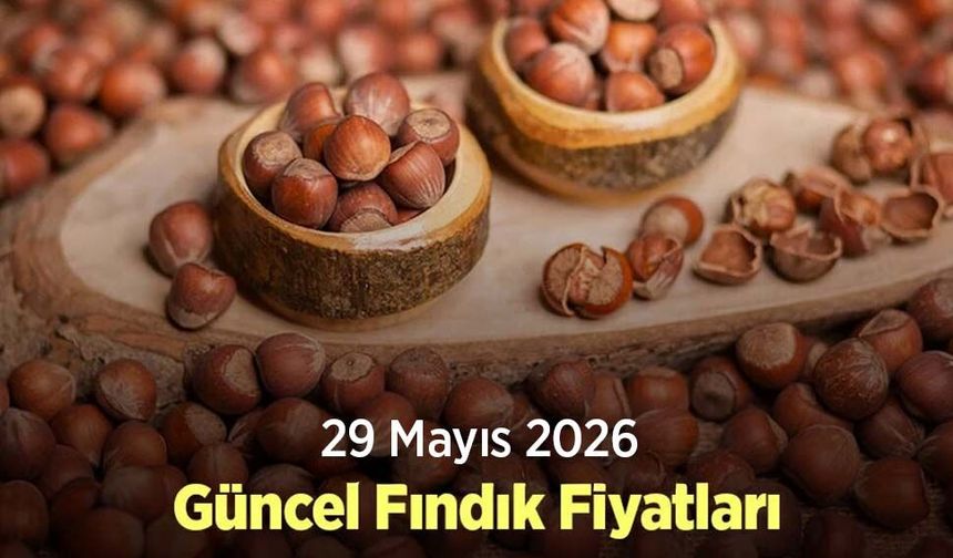 29 Mayıs 2026 Güncel Fındık Fiyatları
