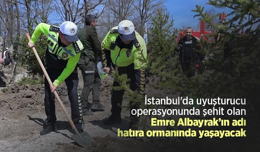 İstanbul'da uyuşturucu operasyonunda şehit olan Emre Albayrak’ın adı hatıra ormanında yaşayacak