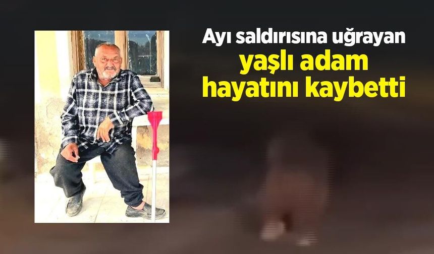 Ayı saldırısına uğrayan yaşlı adam hayatını kaybetti