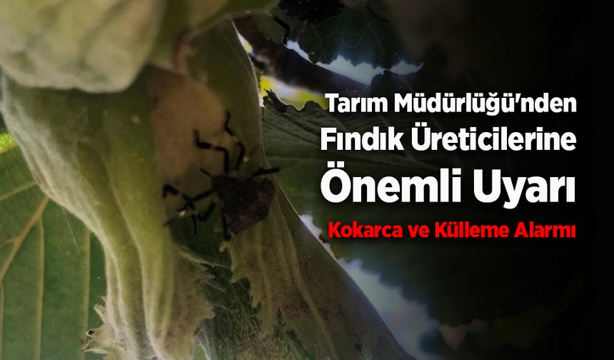 Tarım Müdürlüğü'nden Fındık Üreticilerine Önemli Uyarı