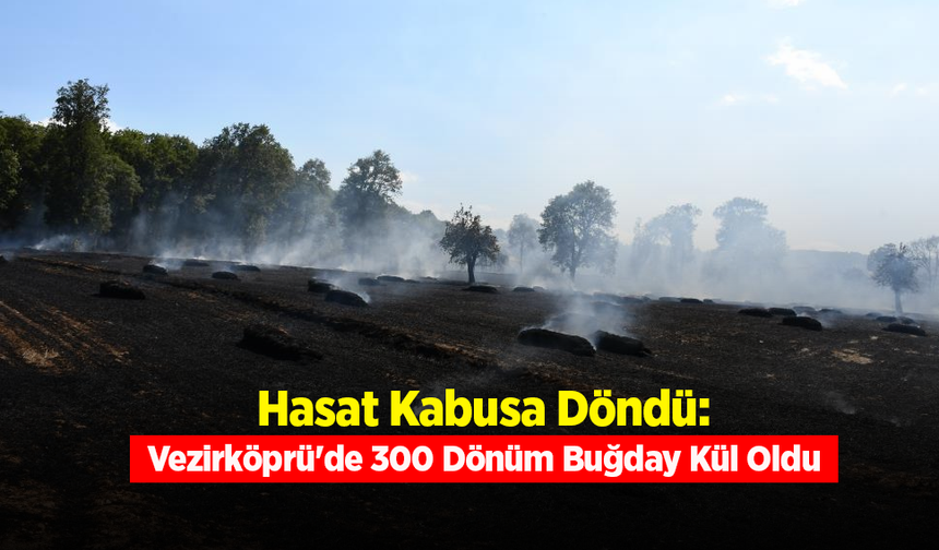 Vezirköprü'de Tarla Yangını: 300 Dönüm Ekili Alan Zarar Gördü
