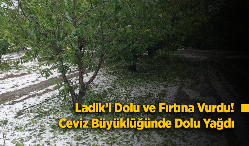 Ladik’i Dolu ve Fırtına Vurdu! Ceviz Büyüklüğünde Dolu Yağdı, Ağaç Devrildi