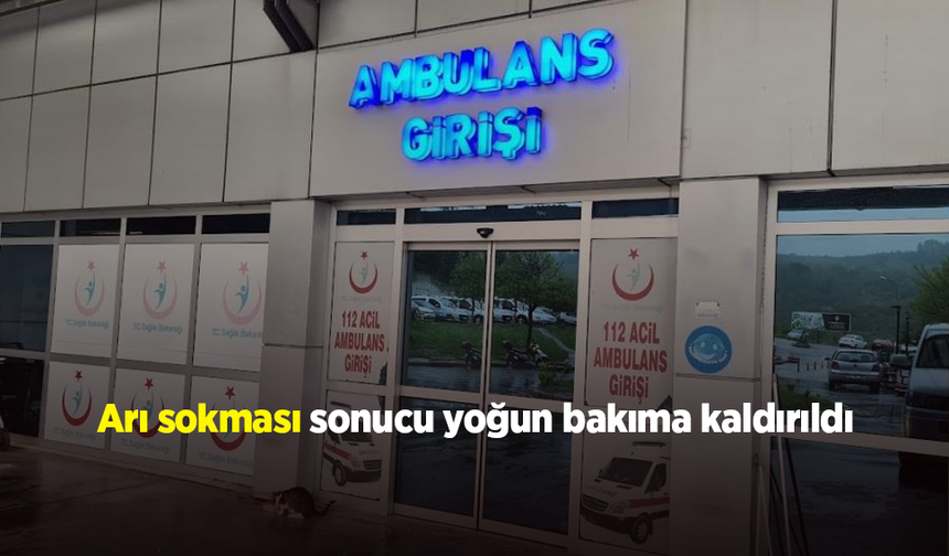 Bahçedeki Mesai Hastanede Bitti: Arı Alerjisi Ölümle Burun Buruna Getirdi