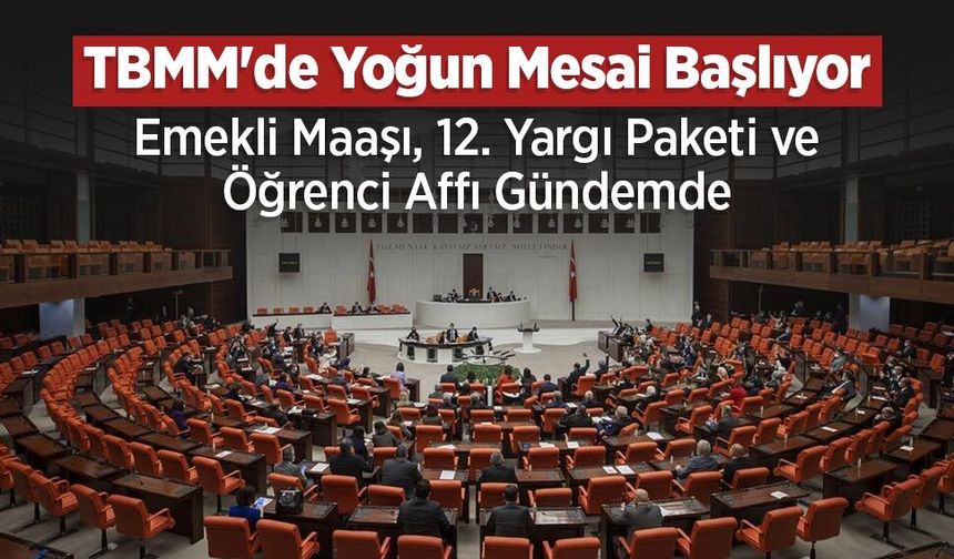 TBMM'de Yoğun Mesai Başlıyor: Emekli Maaşı, 12. Yargı Paketi ve Öğrenci Affı Gündemde