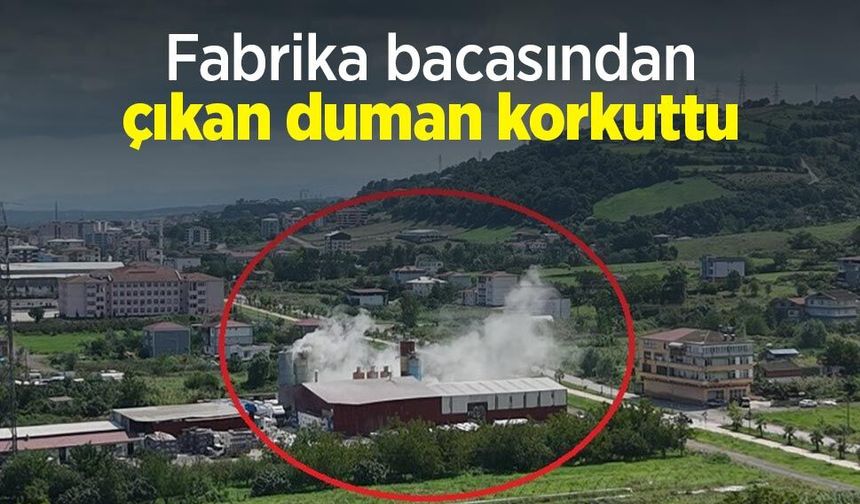 Fabrika bacasından çıkan duman korkuttu