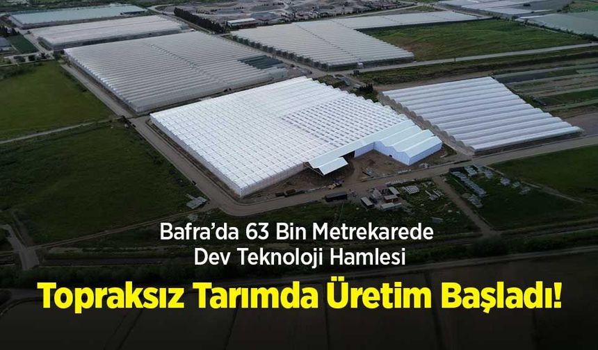 Bafra’da 63 Bin Metrekarede Dev Teknoloji Hamlesi: Topraksız Tarımda Üretim Başladı!