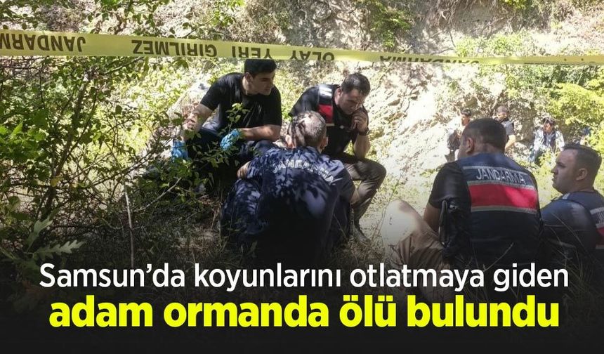 Samsun’da koyunlarını otlatmaya giden adam ormanda ölü bulundu