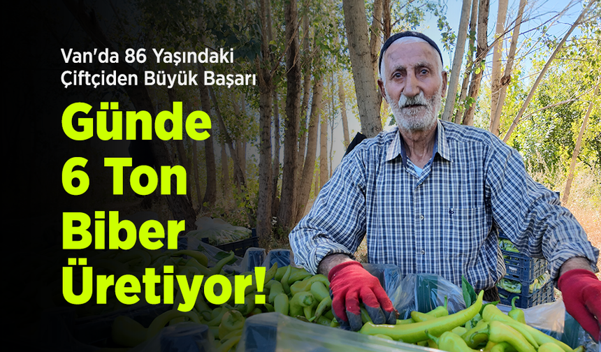 Van'da 86 Yaşındaki Çiftçiden Büyük Başarı: Günde 6 Ton Biber Üretiyor!