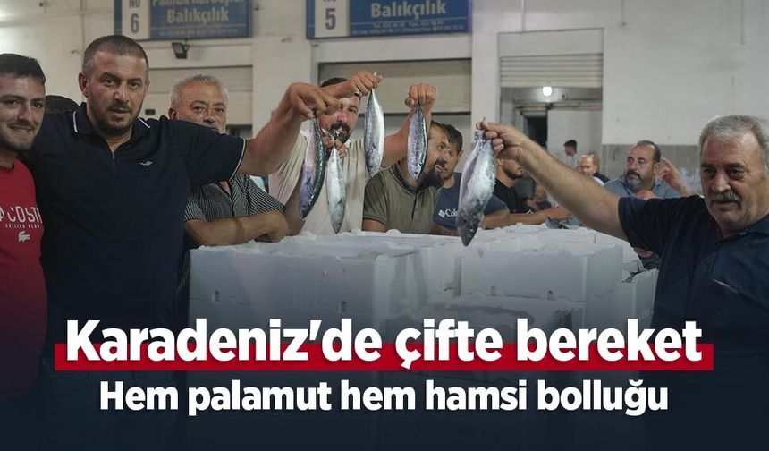 Karadeniz'de çifte bereket: Hem palamut hem hamsi bolluğu