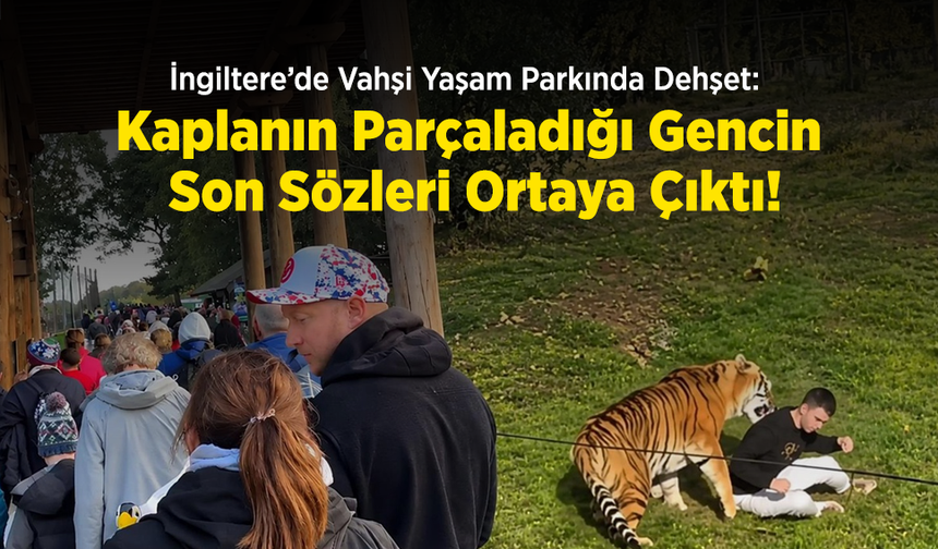 İngiltere’de Vahşi Yaşam Parkında Dehşet: Kaplanın Parçaladığı Gencin Son Sözleri Ortaya Çıktı!