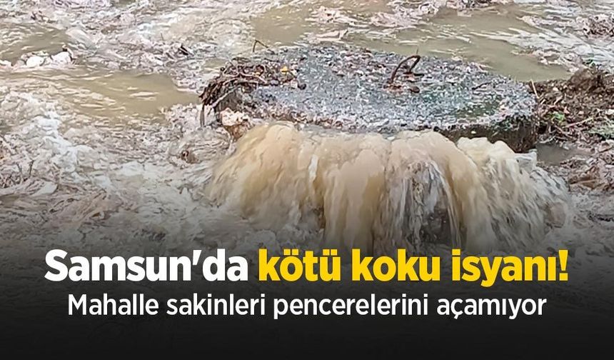 Samsun'da kötü koku isyanı! Mahalle sakinleri pencerelerini açamıyor