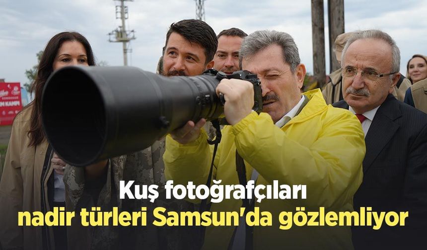 Kuş fotoğrafçıları, nadir türleri Samsun'da gözlemliyor