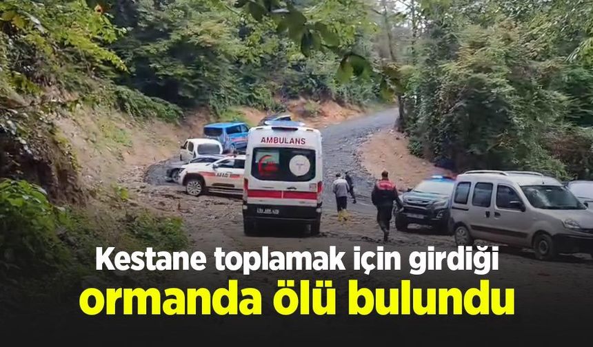 Kestane toplamak için girdiği ormanda ölü bulundu