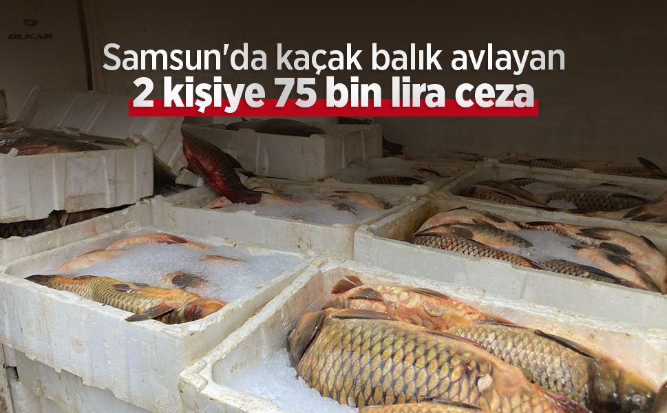 Samsun'da kaçak balık avlayan 2 kişiye 75 bin lira ceza