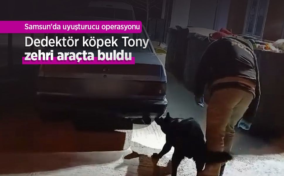 Samsun'da uyuşturucu operasyonu: Dedektör köpek Tony zehri araçta buldu