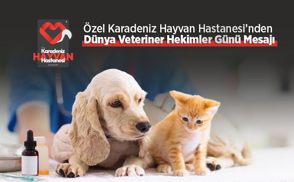 Özel Karadeniz Hayvan Hastanesi’nden Dünya Veteriner Hekimler Günü Mesajı