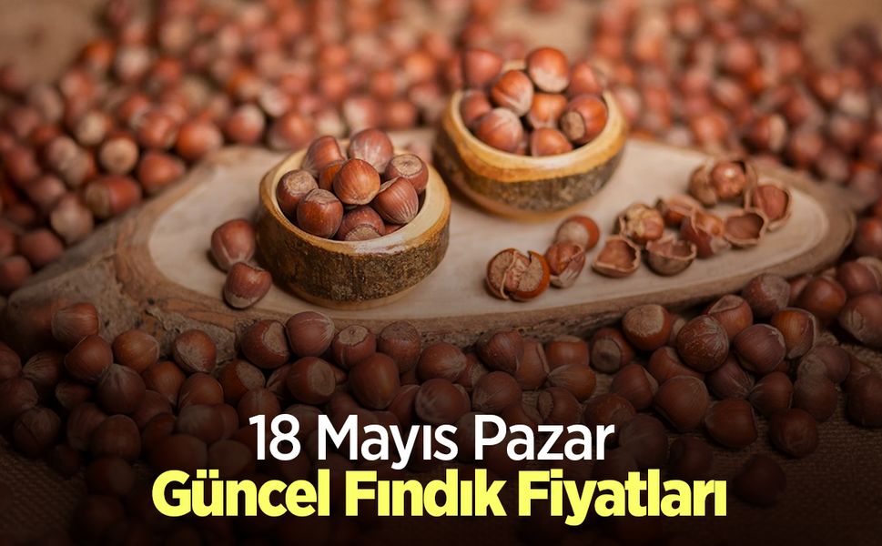18 Mayıs 2025 Güncel Fındık Fiyatları