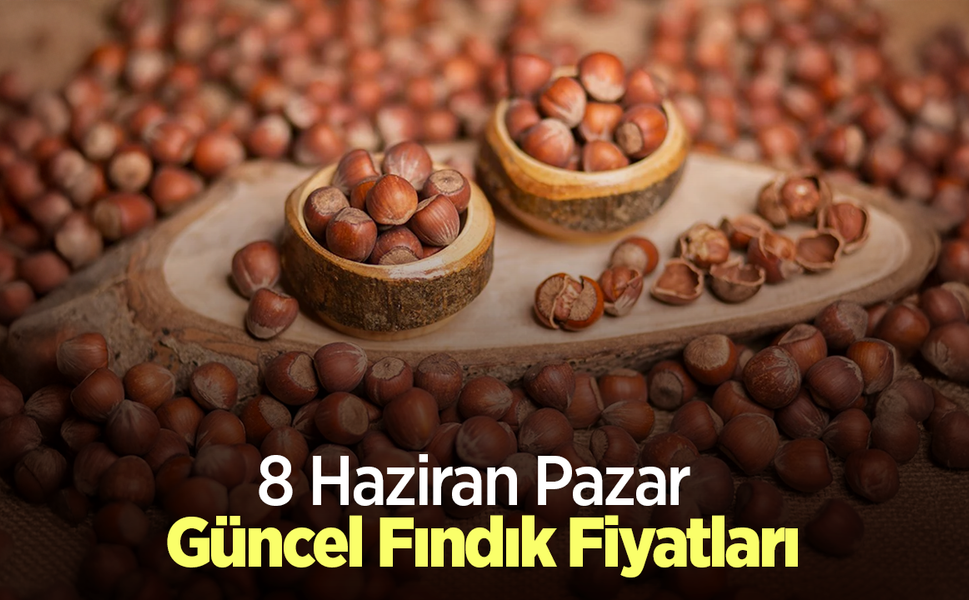 8 Haziran 2025 Güncel Fındık Fiyatları