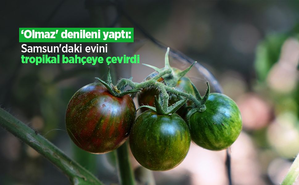 ‘Olmaz' denileni yaptı: Samsun'daki evini tropikal bahçeye çevirdi