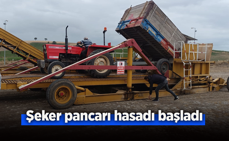 Şeker pancarı hasadı başladı.