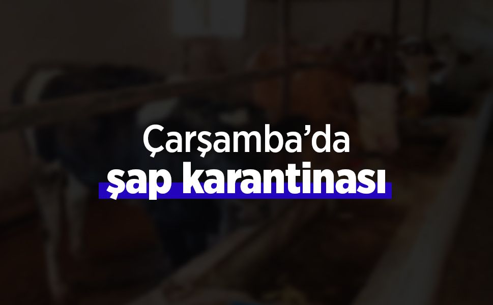 Çarşamba’da şap karantinası