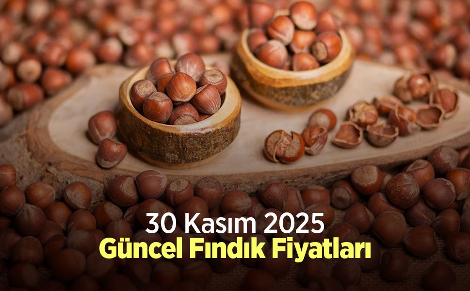 30 Ekim 2025 Güncel Fındık Fiyatları