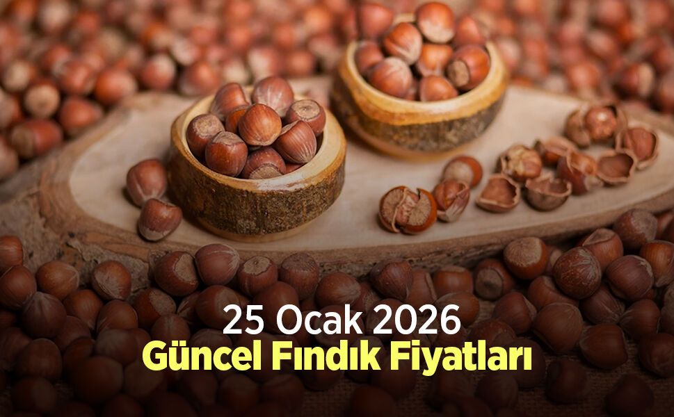 25 Ocak 2026 Güncel Fındık Fiyatları