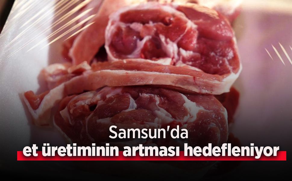 Samsun'da et üretiminin artması hedefleniyor