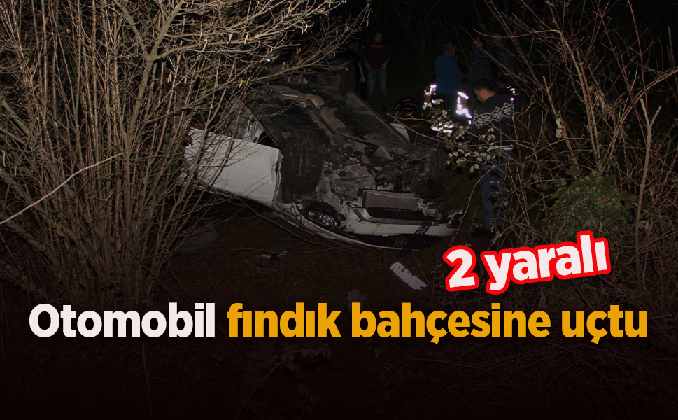 Otomobil fındık bahçesine uçtu: 2 yaralı
