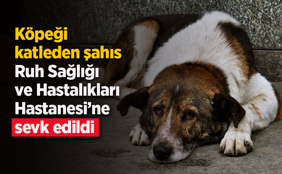 Köpeği katledan şahıs, Ruh Sağlığı ve Hastalıkları Hastanesi’ne sevk edildi