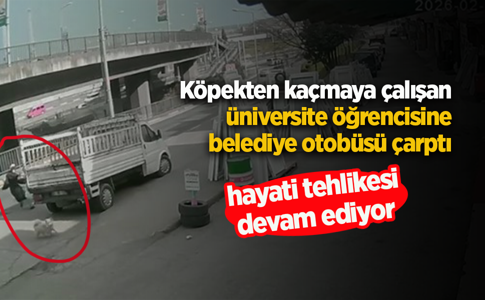 Köpekten kaçmaya çalışan üniversite öğrencisine belediye otobüsü çarptı