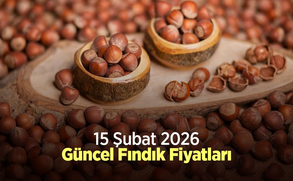 15 Şubat 2026 Güncel Fındık Fiyatları