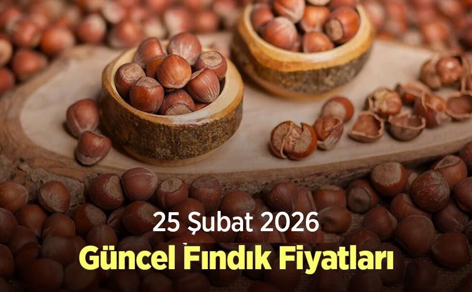 25 Şubat 2026 Güncel Fındık Fiyatları - samsunhaber.com