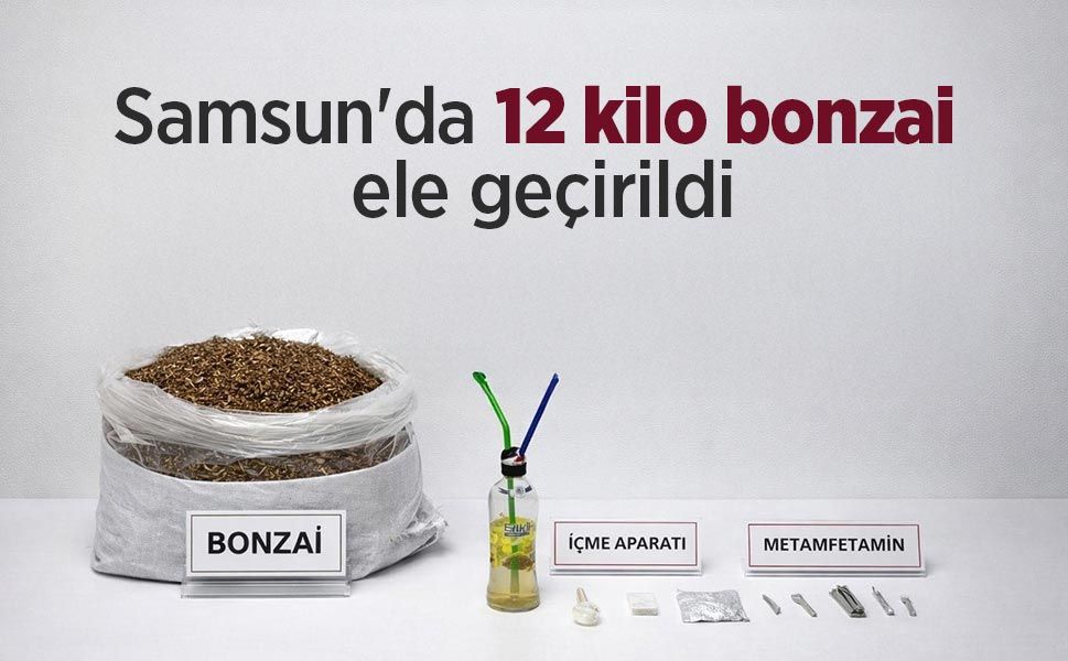 Samsun'da 12 kilo bonzai ele geçirildi