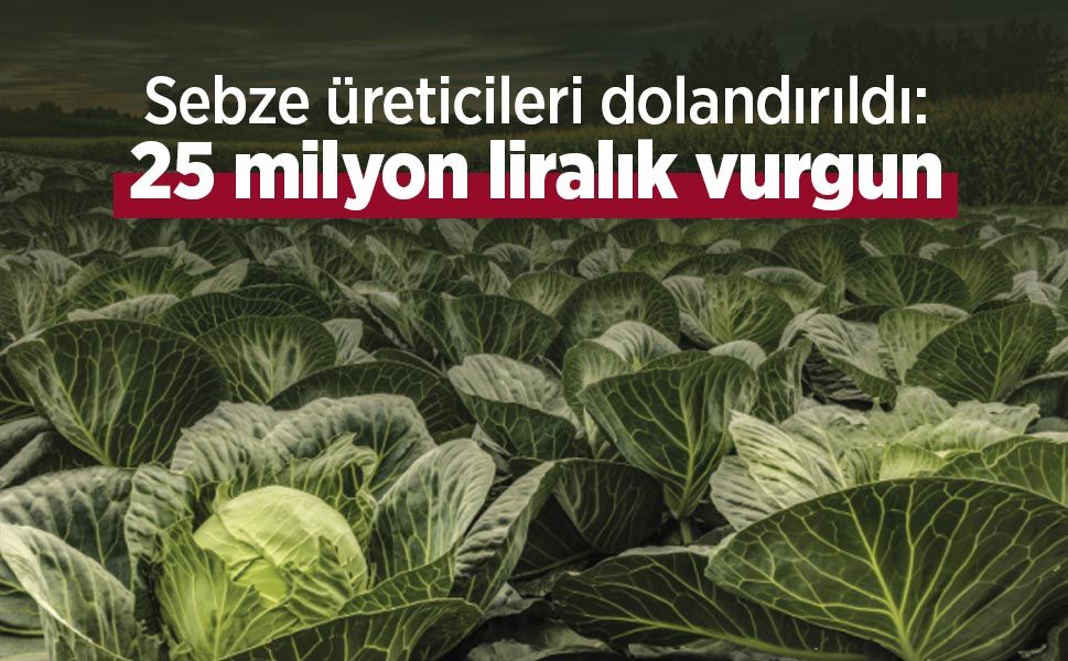 Sebze üreticileri dolandırıldı: 25 milyon liralık vurgun