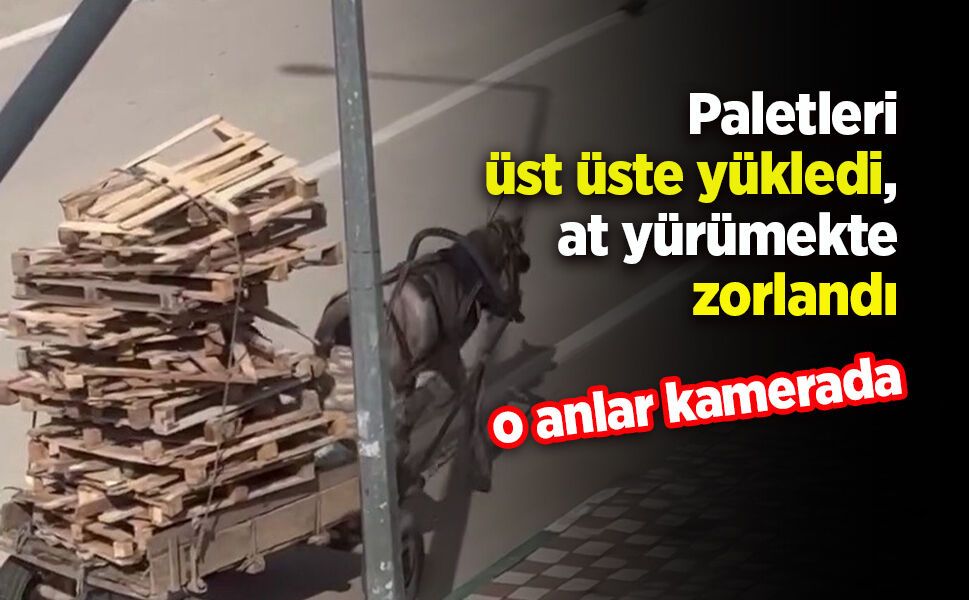 Paletleri üst üste yükledi, at yürümekte zorlandı