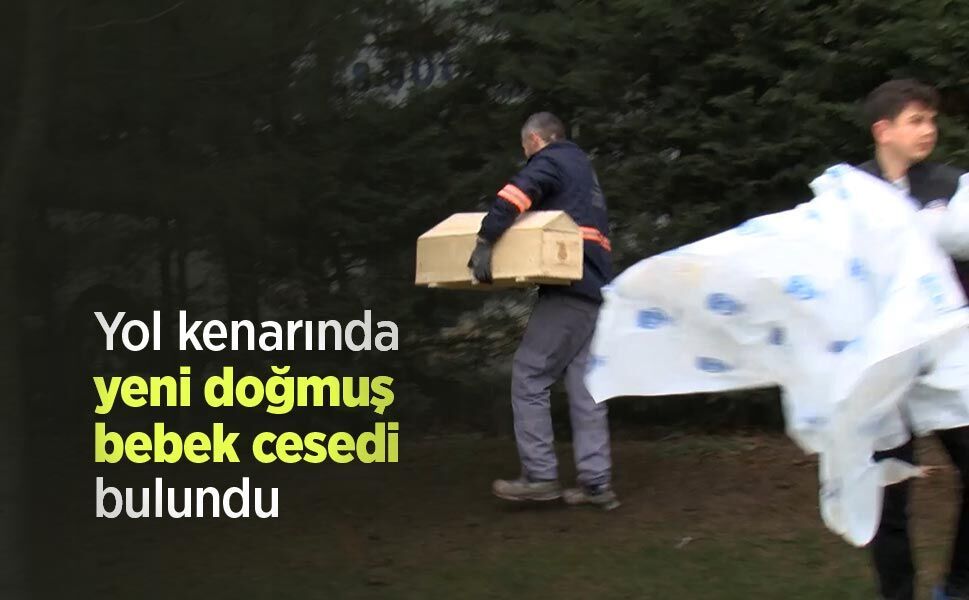 Yol kenarında yeni doğmuş bebek cesedi bulundu
