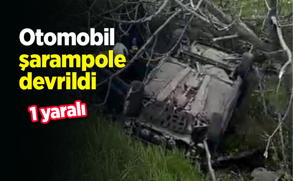 Otomobil şarampole devrildi: 1 yaralı