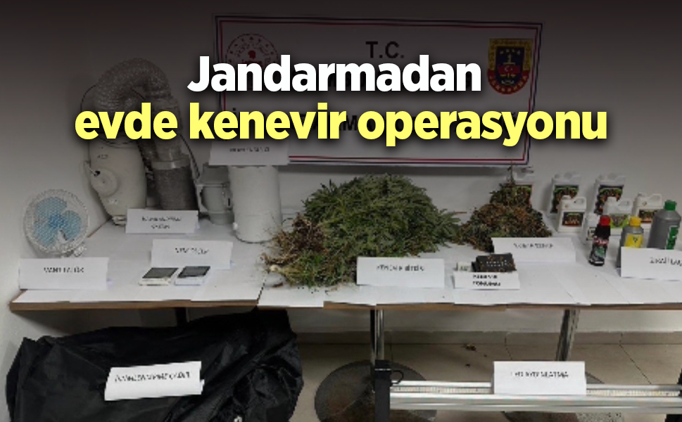 Jandarmadan evde kenevir operasyonu
