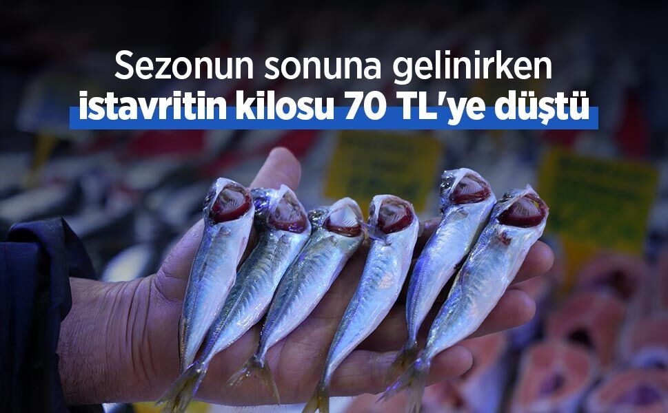 Sezonun sonuna gelinirken istavritin kilosu 70 TL'ye düştü