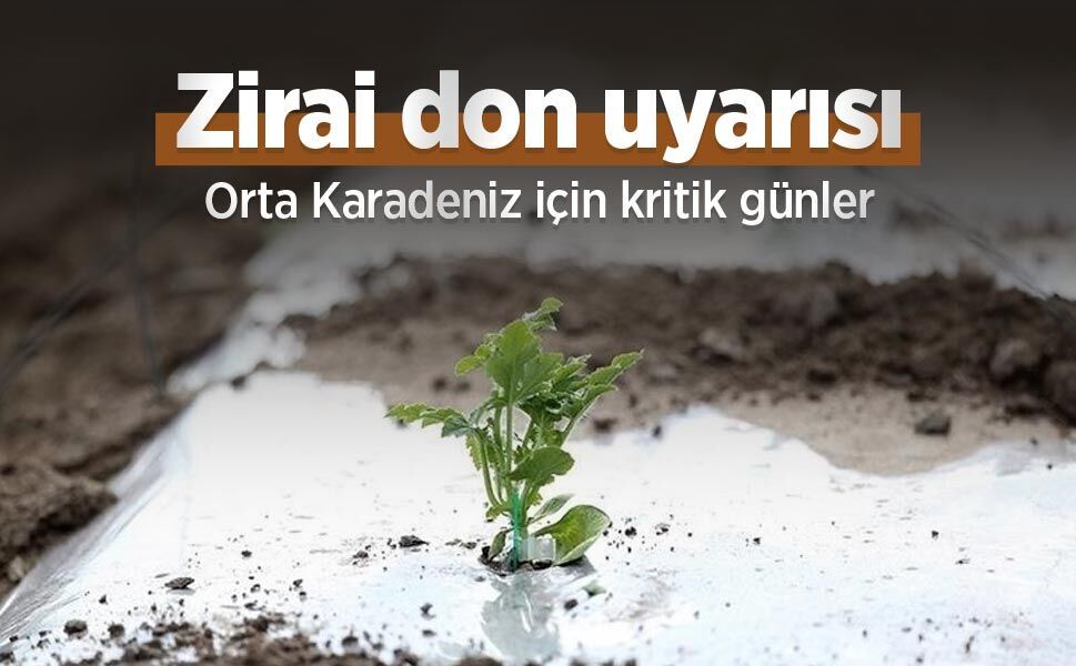 Zirai don uyarısı: Orta Karadeniz için kritik günler